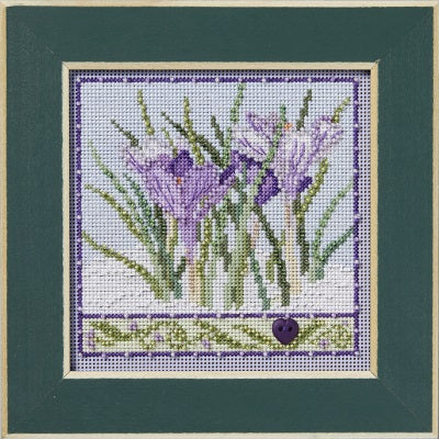 Crocuses (2024)