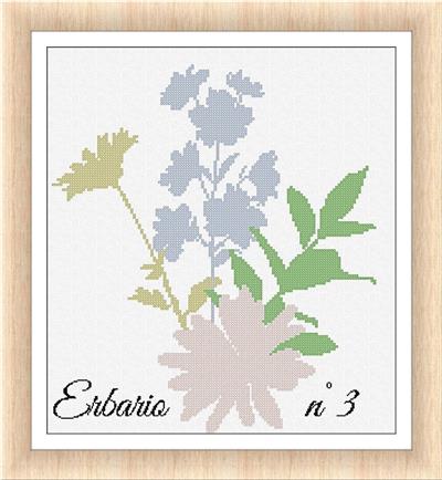 Erbario 3