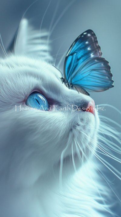 Friends - HAED