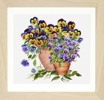 Potted Pansies