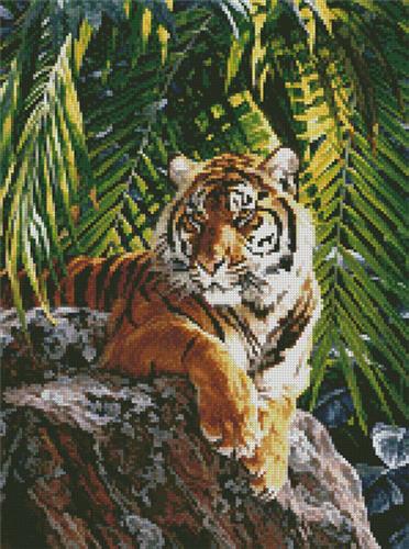 Sumatran Tigress (Medium)