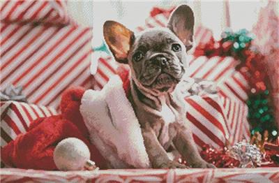 Christmas Puppy