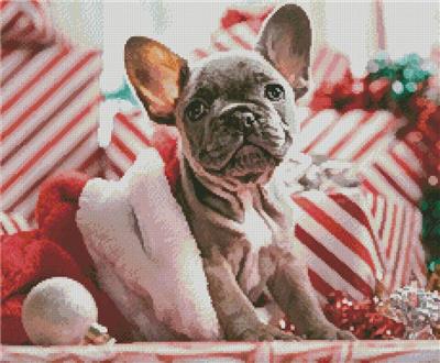 Christmas Puppy (Crop)