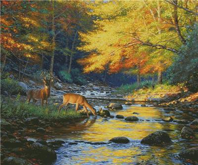 Quiet Encounter (Large)