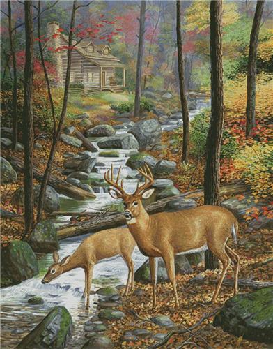 Room with a View (Large)