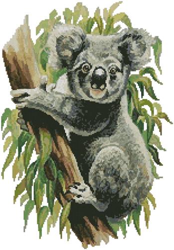 Koala (No Background)