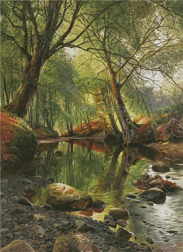 Wooded Stream 