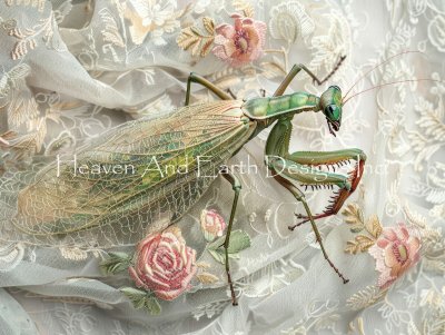 Praying Mantis - WhimsiTea