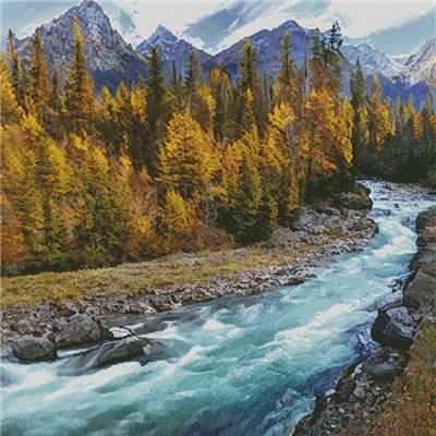 Mountain Forest Stream 