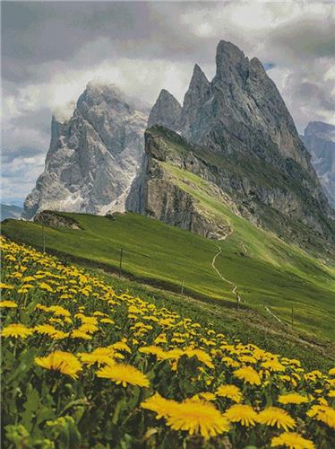Seceda (Large)