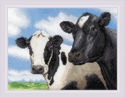 Cows