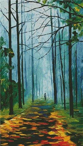 Summer Foggy Forest  