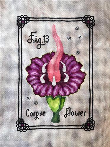 Corpse Flower