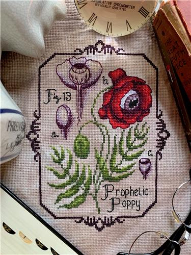 Prophetic Poppy