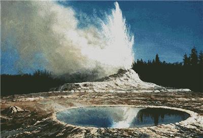 Geyser Yellowstone Park (Large)