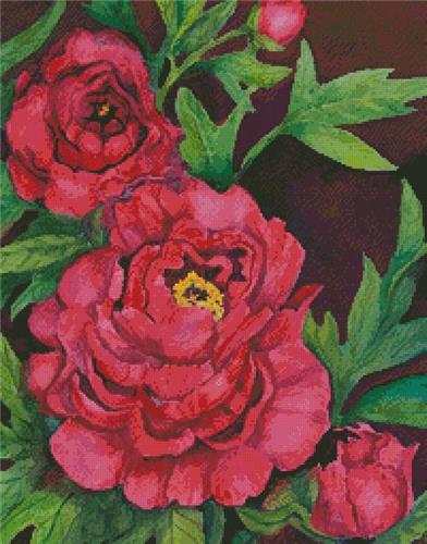 Peonies in Deep Red (Crop)