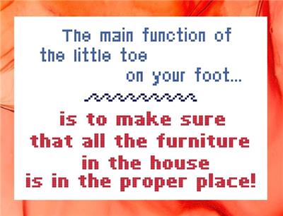 Your Little Toe