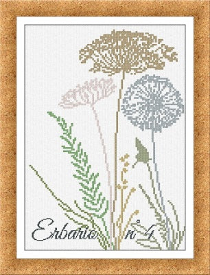 Erbario 4