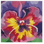 Purple/Pink Pansy