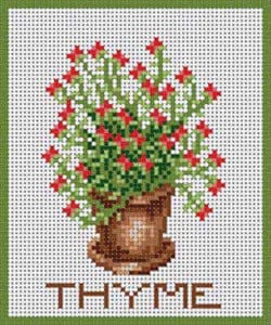 Thyme