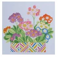Primrose Fiesta 