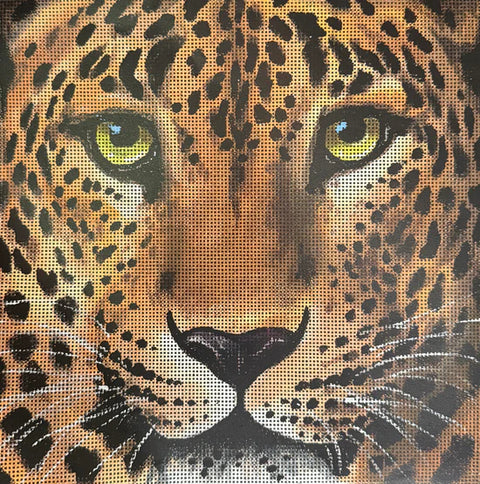 AN536 (Colors of Praise)