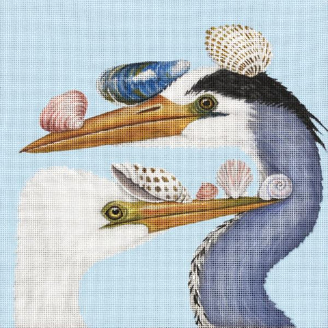 Collecting Shells Together