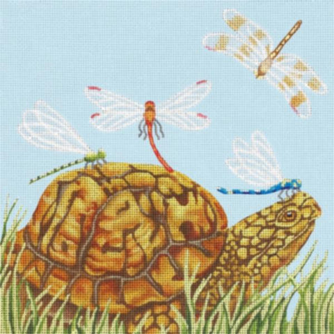 Turtle School Bus