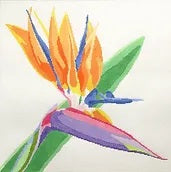 Regal Bird of Paradise