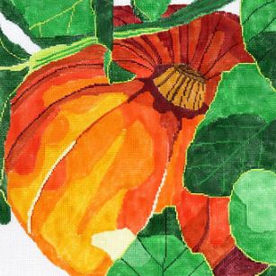 Farmers Market - Pumpkin  