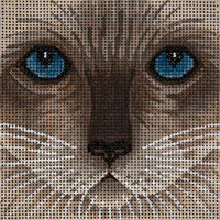 Siamese Cat Face - Small