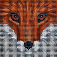 Fox Box Top - Large