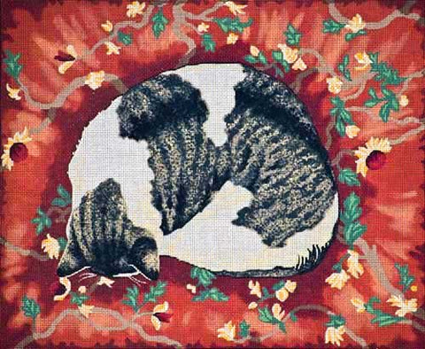 Sleeping Cat
