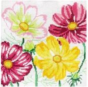 Small Cosmos Beauties 2