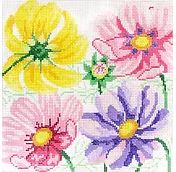 Small Cosmos Beauties 1