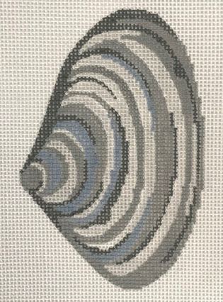 Quahog Shell