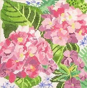 Small Hydrangea and Blossoms