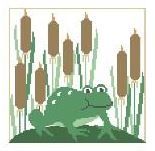 Frog in Cattails