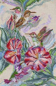 Hummingbirds/Flowers