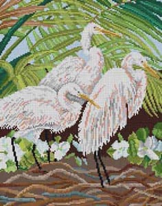 Egrets