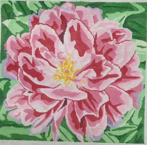 Ruffled Pink Peony