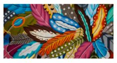 Feather Overlay