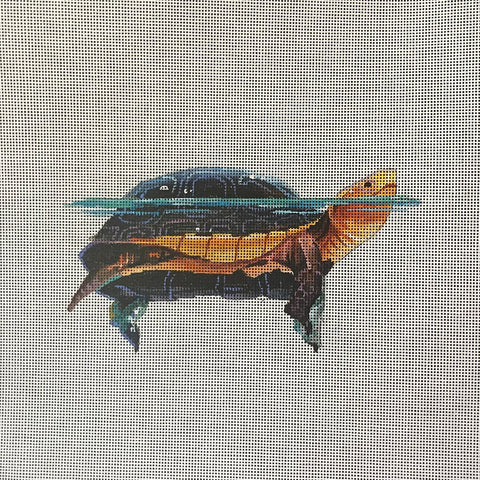 AN494 - Turtle (Colors of Praise)
