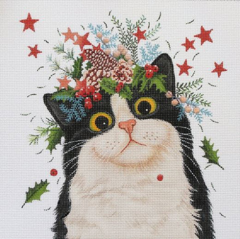 Winter Cat