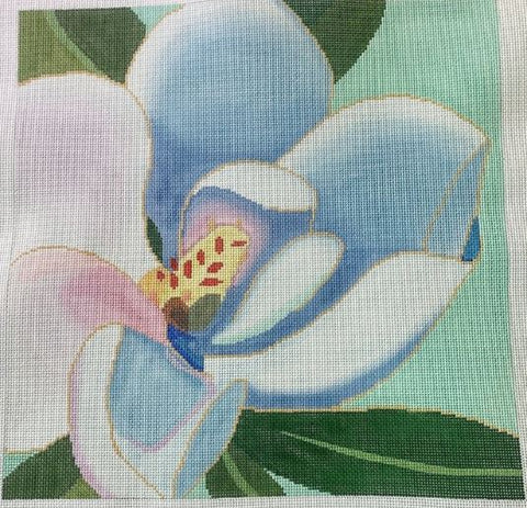 Magnolia 