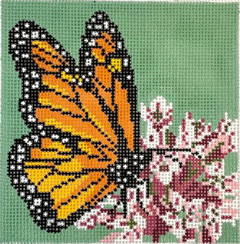 Monarch on Milkweed 
