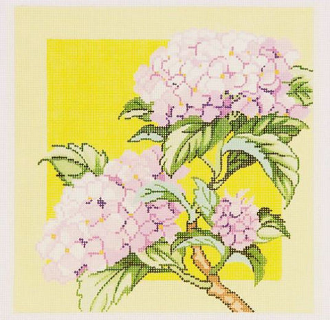 Hydrangea on Yellow