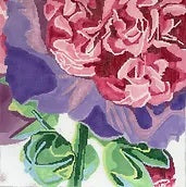 Powder Puff Holly Hock 