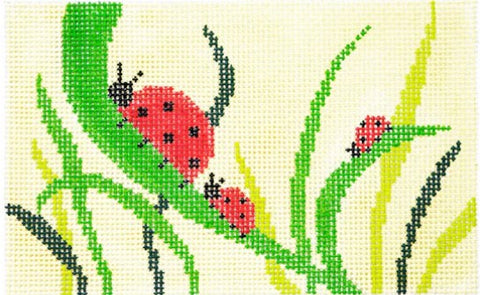 Ladybugs