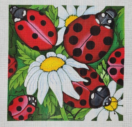 Ladybugs on White Flowers